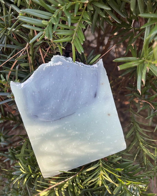 Frosted Fir Soap