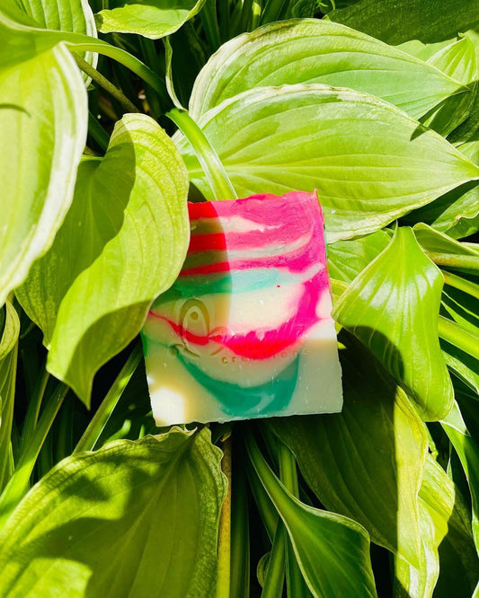 I’m Yummy & I know it soap