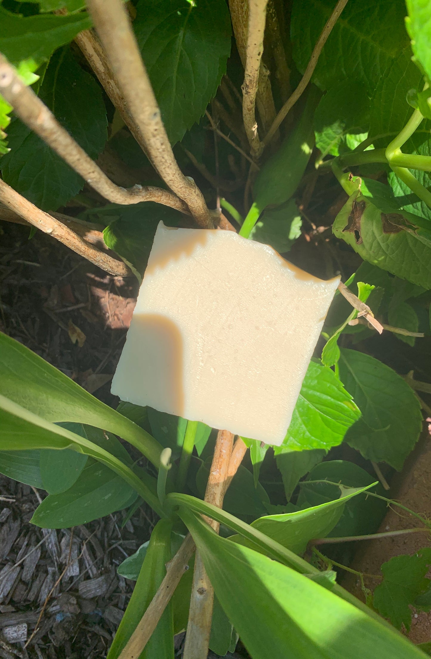 Castile Unscented Soap