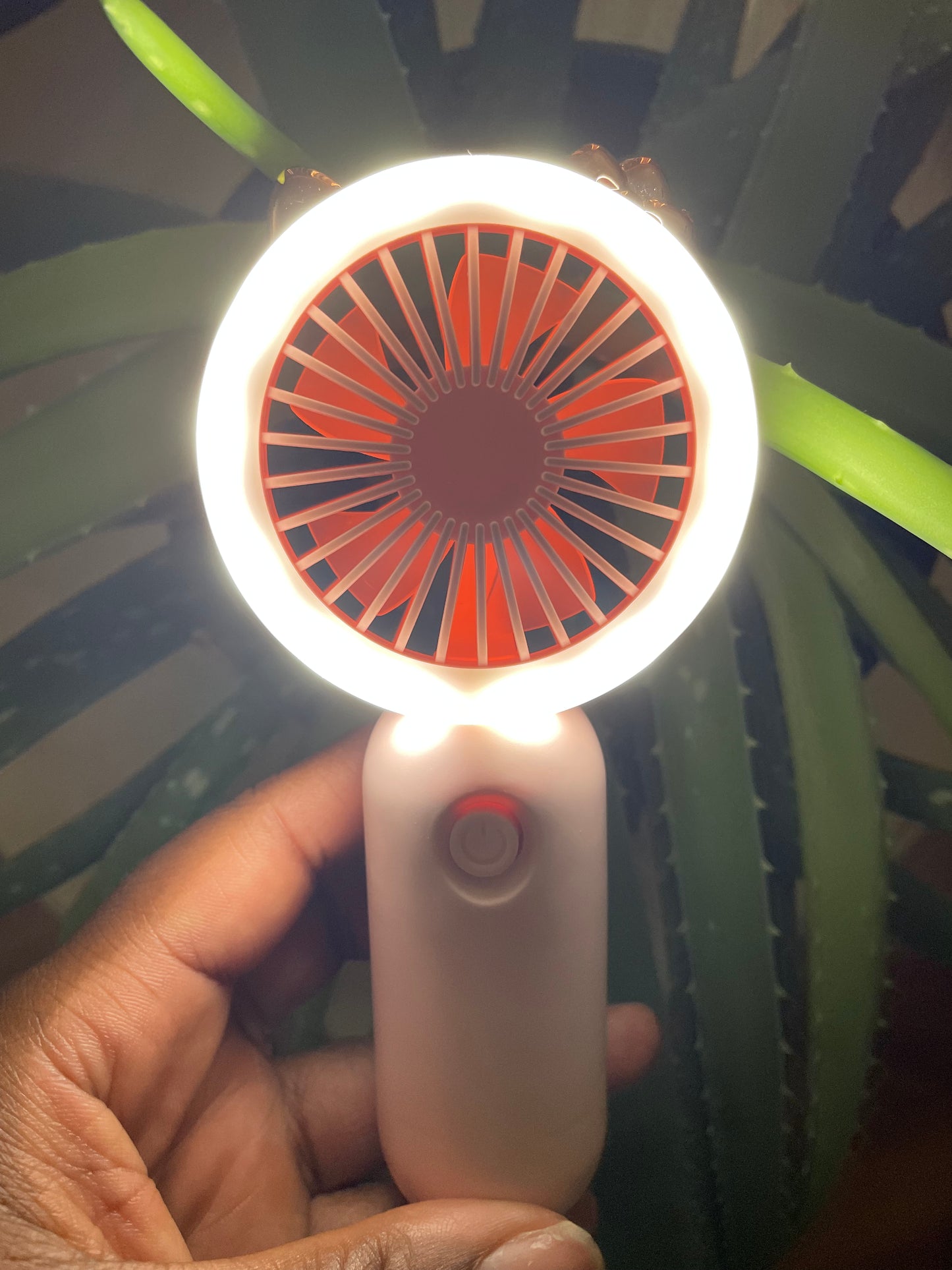 Lighted Fan