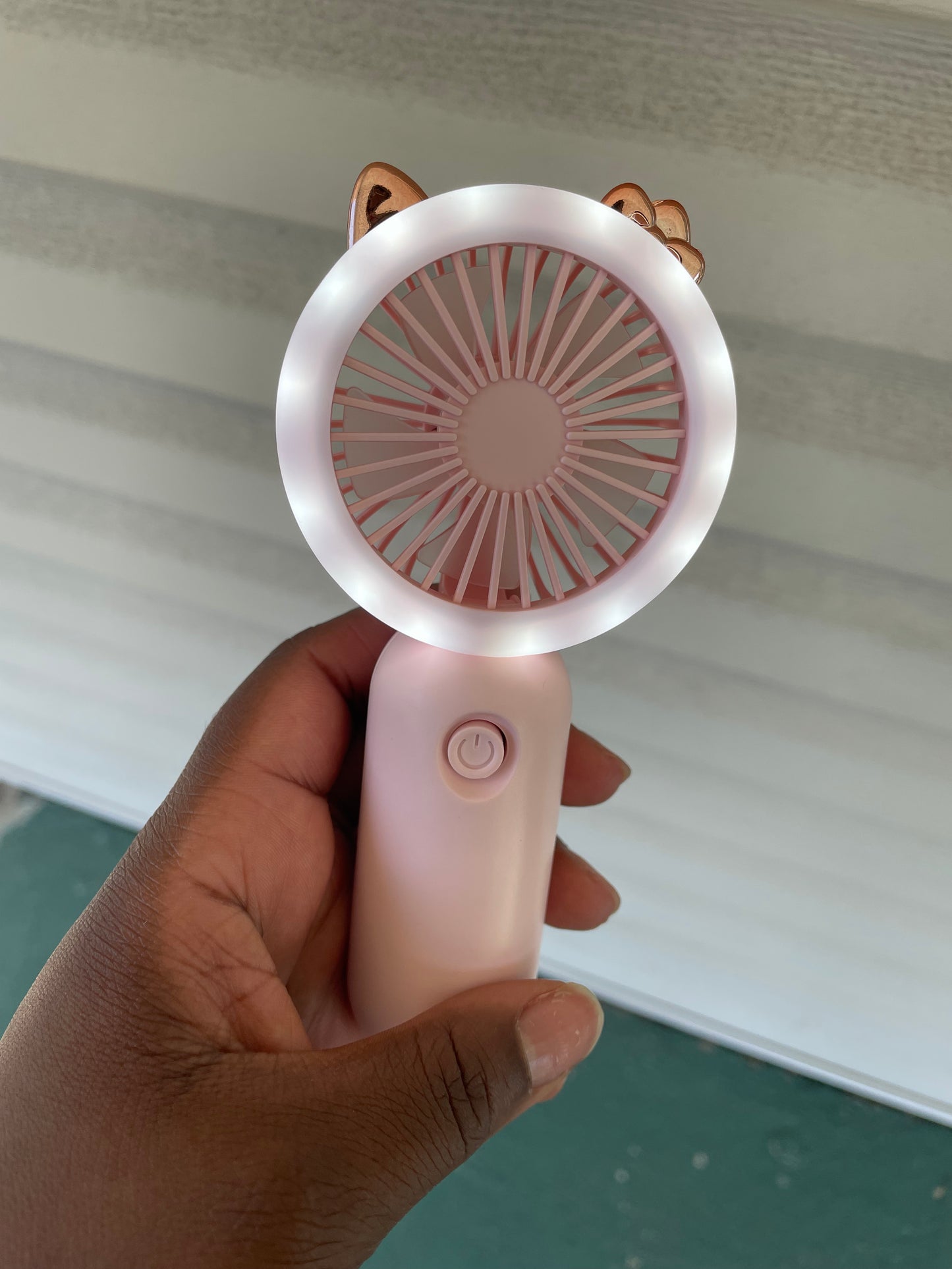 Lighted Fan